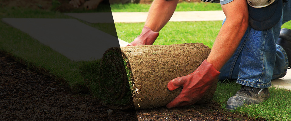 Richton Park Landscapers
